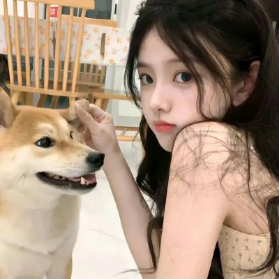 来去美国2
